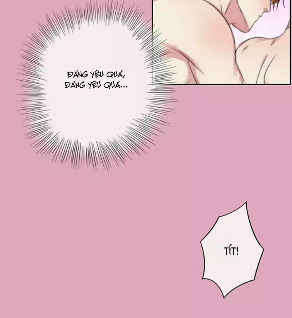 Fan Biến Thái Và Thần Tượng Xinh Đẹp 46 trang 11