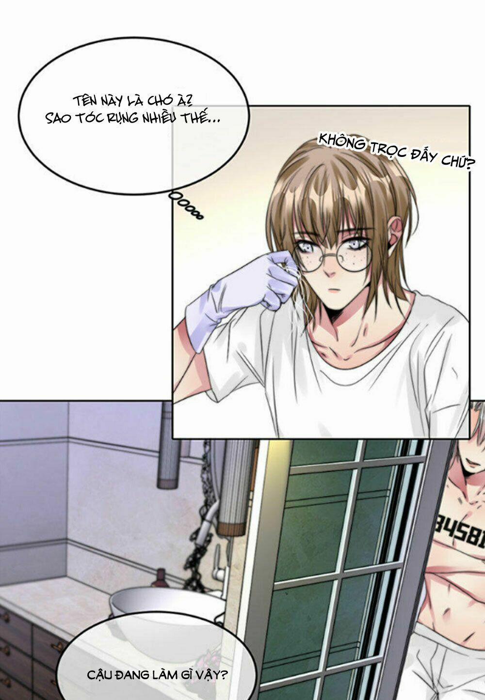 Fan Biến Thái Và Thần Tượng Xinh Đẹp 54 trang 3