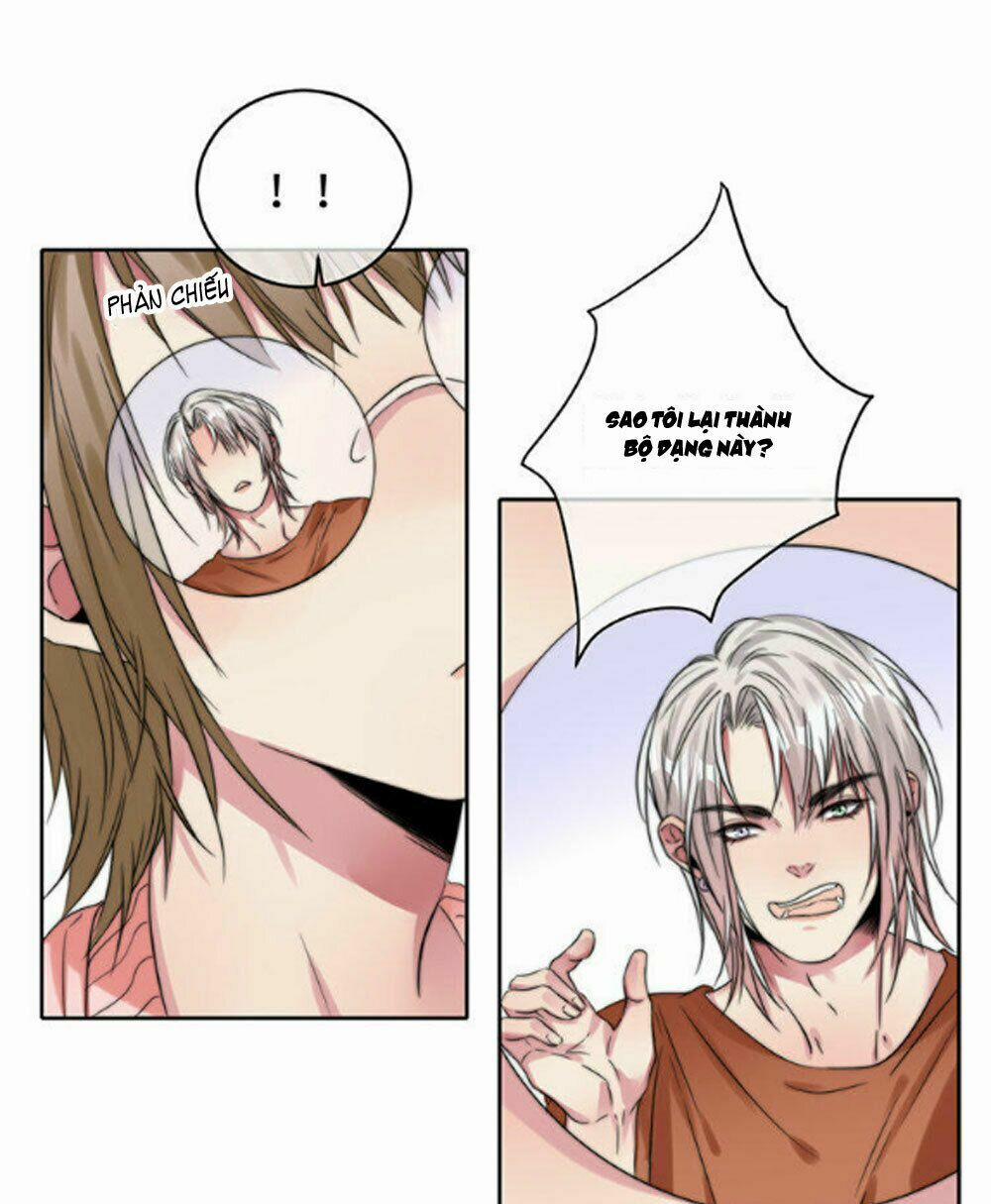 Fan Biến Thái Và Thần Tượng Xinh Đẹp 55 trang 16