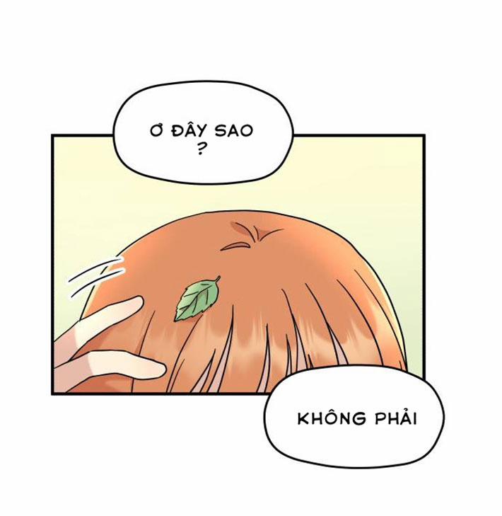 Fancy X Fancy 7 trang 63