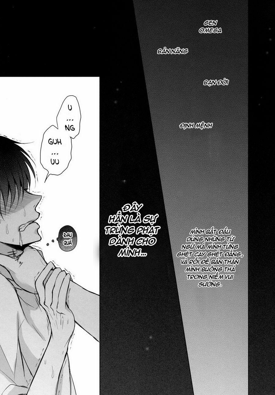 Fanservice 6 trang 5