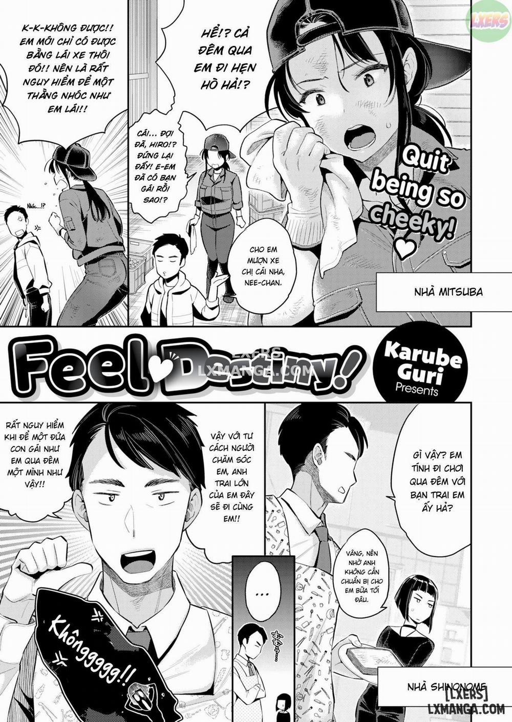 Feel Destiny! Oneshot trang 0