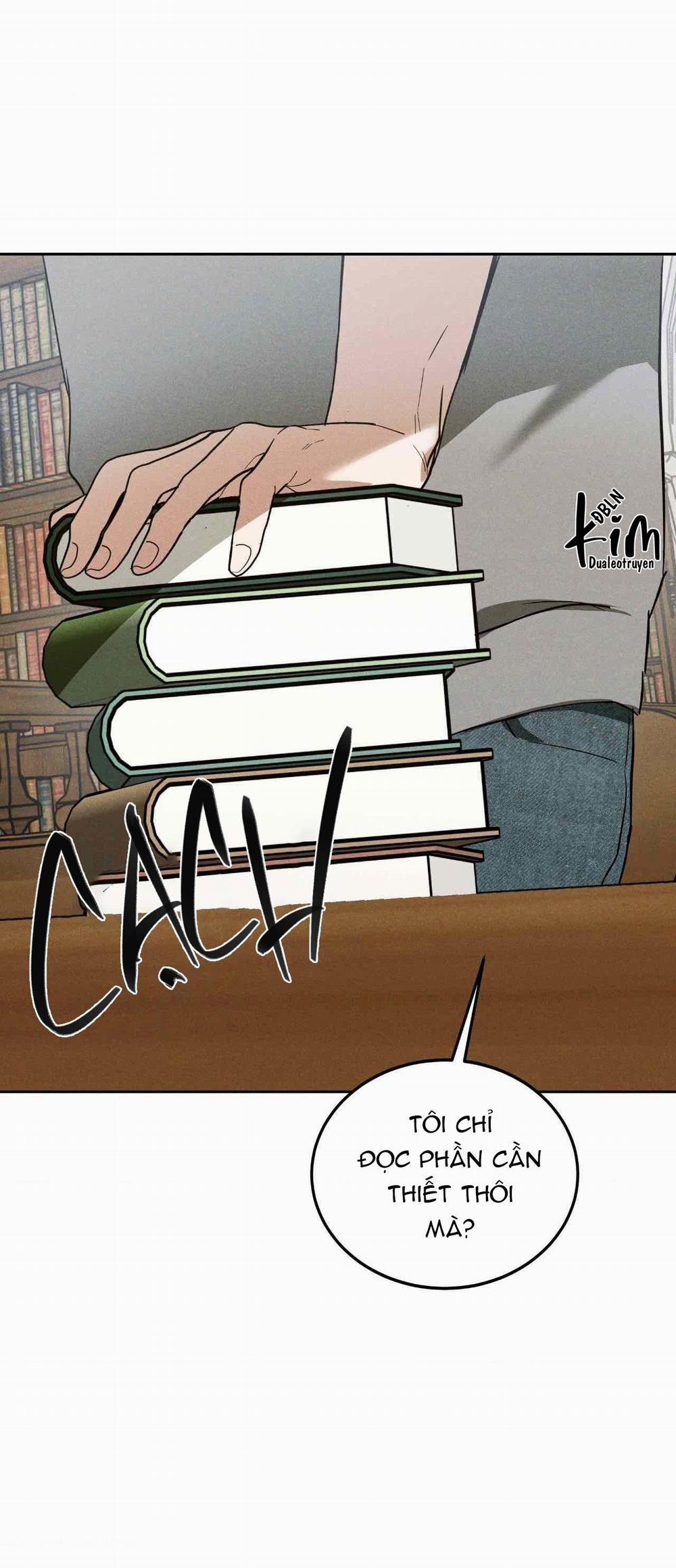 Flashlight 14 trang 3