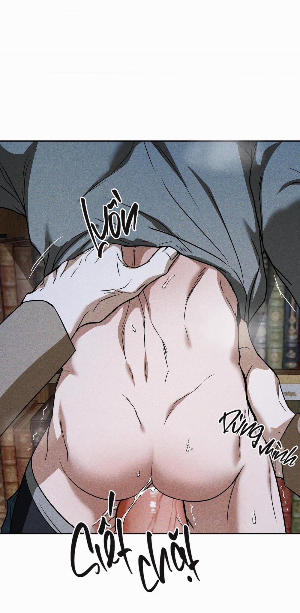 Flashlight 15 H++++ trang 6