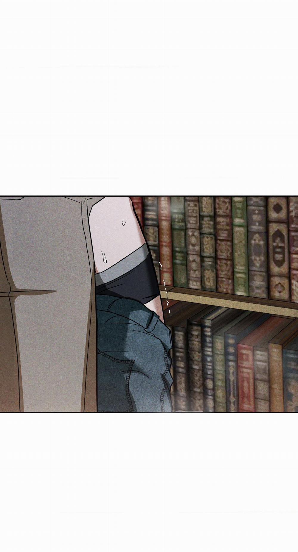 Flashlight 15 trang 5