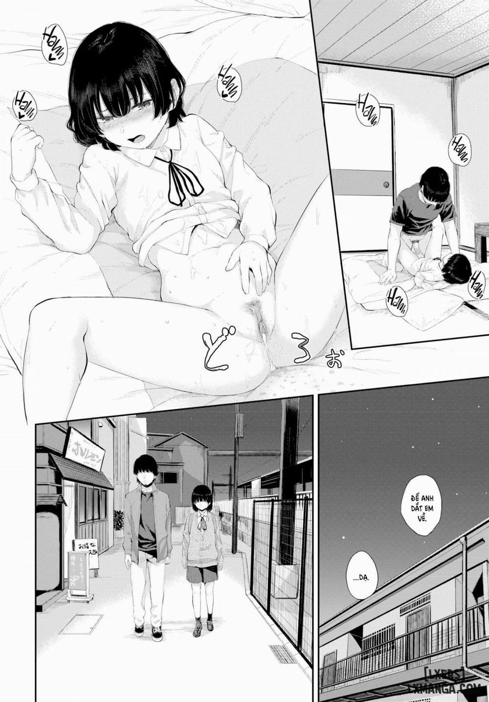 Flower in Shade 1 trang 22