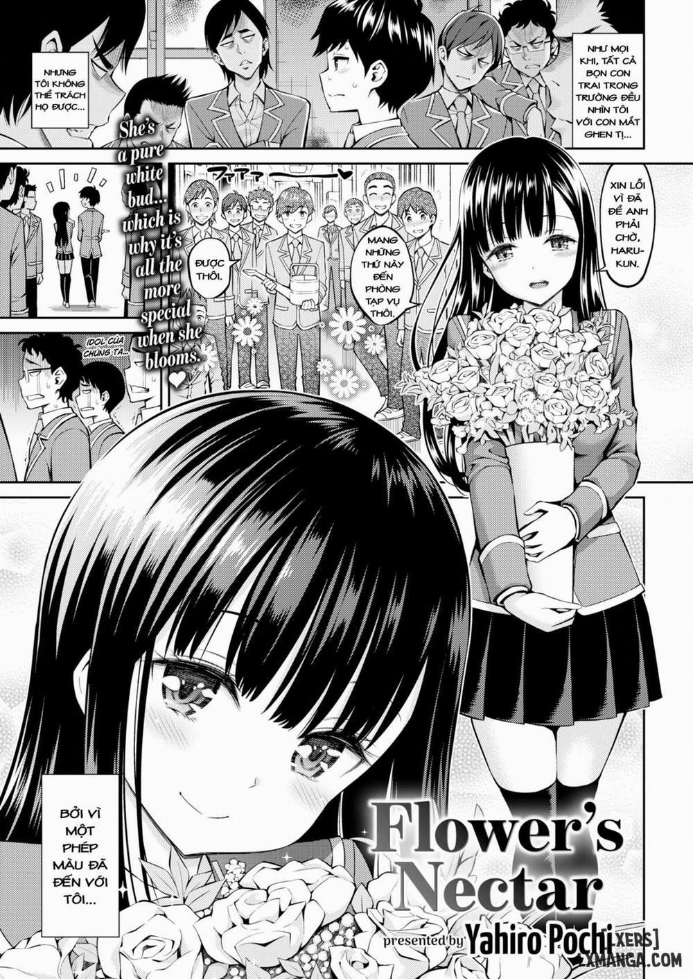 Flowers Nectar Oneshot trang 0
