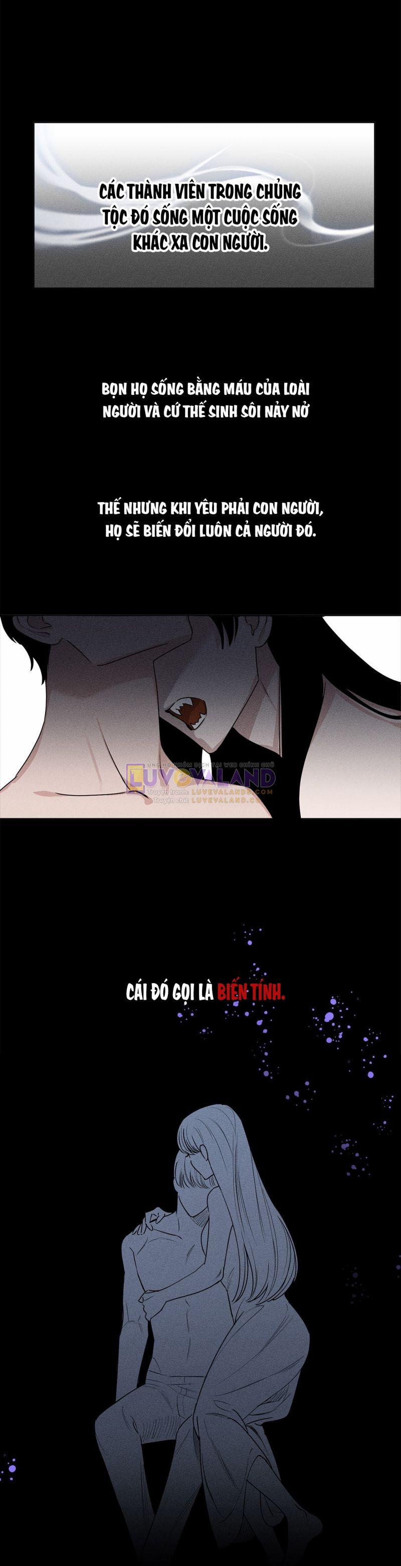 Fly Me To The Moon 13 trang 1