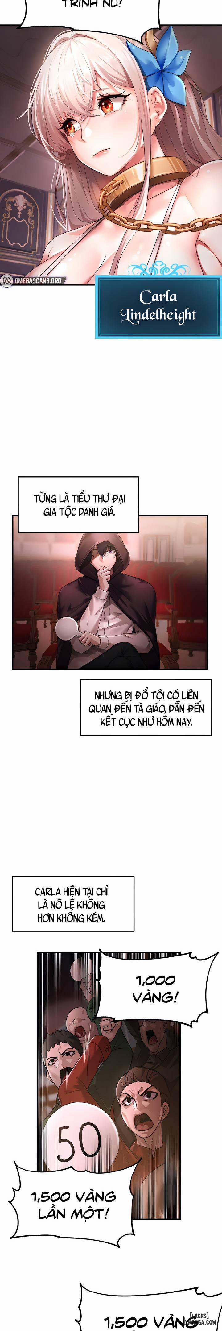 For Sale: Fallen Lady, Never Used 1 trang 2