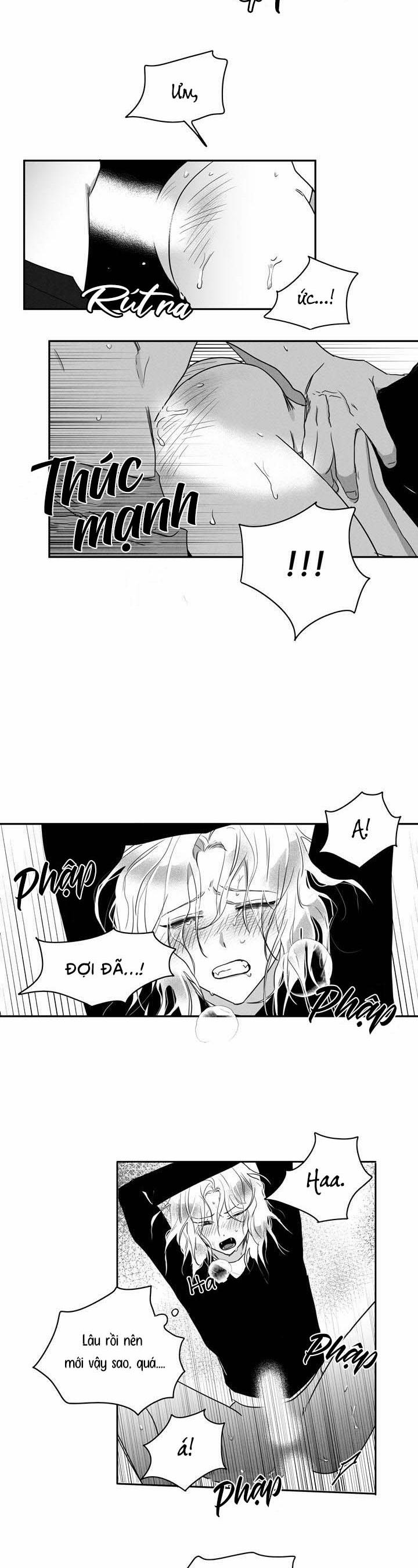 Forever Young 3 trang 1