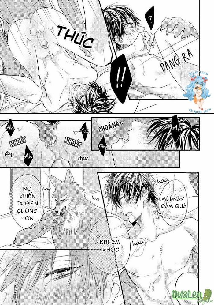 [Full] Pendulum: Kemonohito Omegaverse 4 trang 6