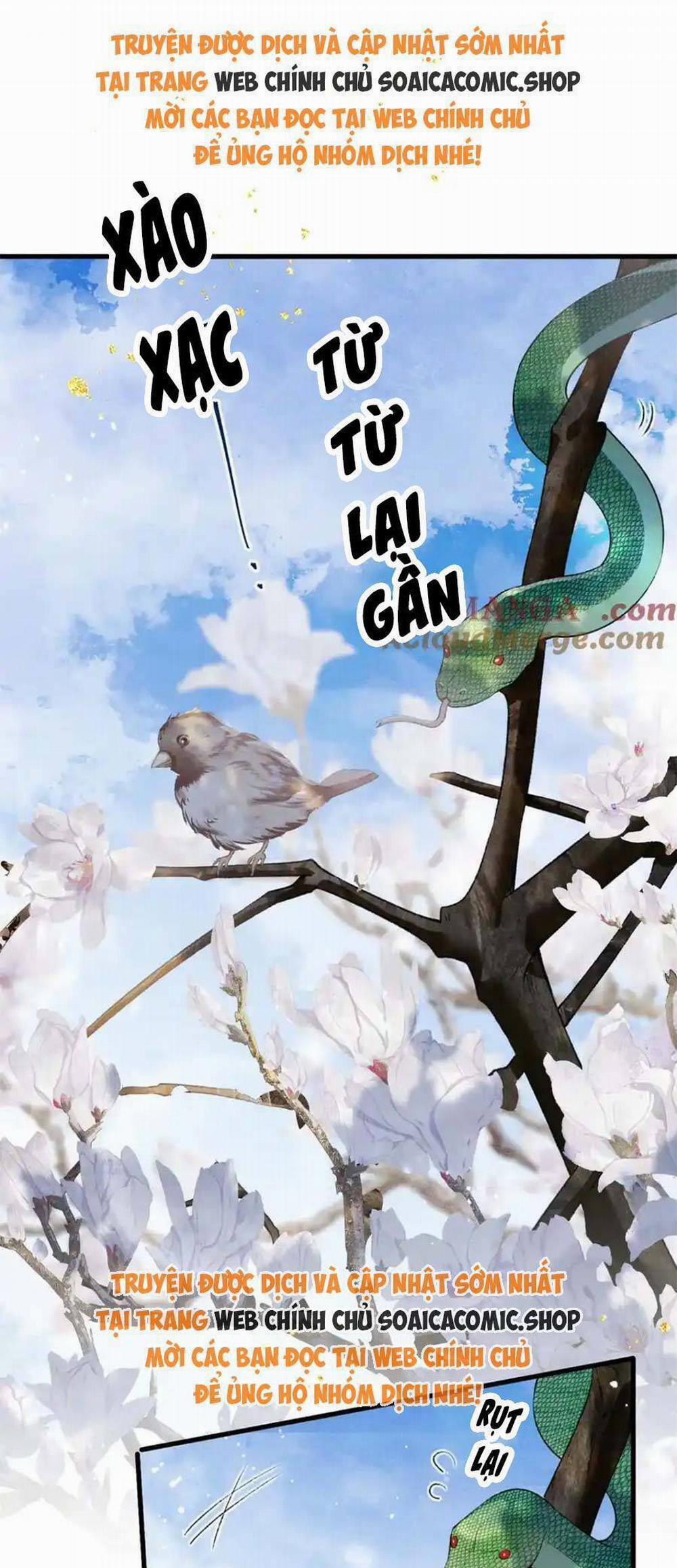 Gả Cho Phản Diện 26 trang 21