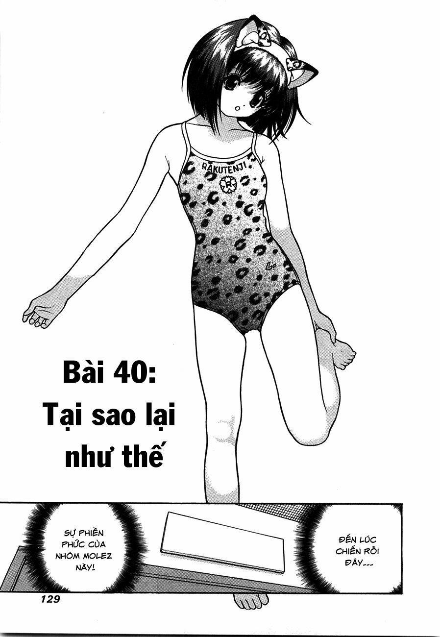 Gakuen Heaven 40 trang 0