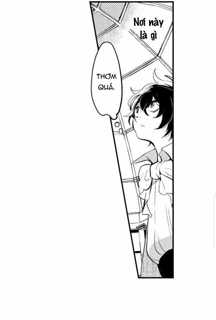 Gần Kề Cái Chết Là Lúc Gào Khóc Tình Yêu 6.1 trang 28