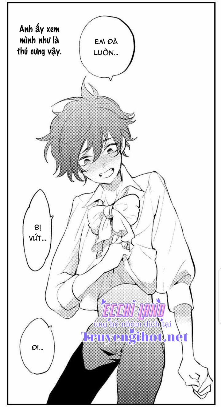 Gần Kề Cái Chết Là Lúc Gào Khóc Tình Yêu 6.2 trang 11