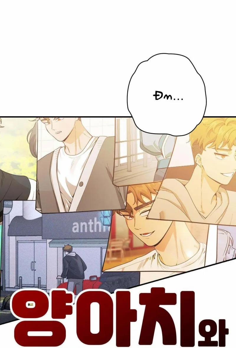 Gangster Và Kẻ Trộm 11 trang 1