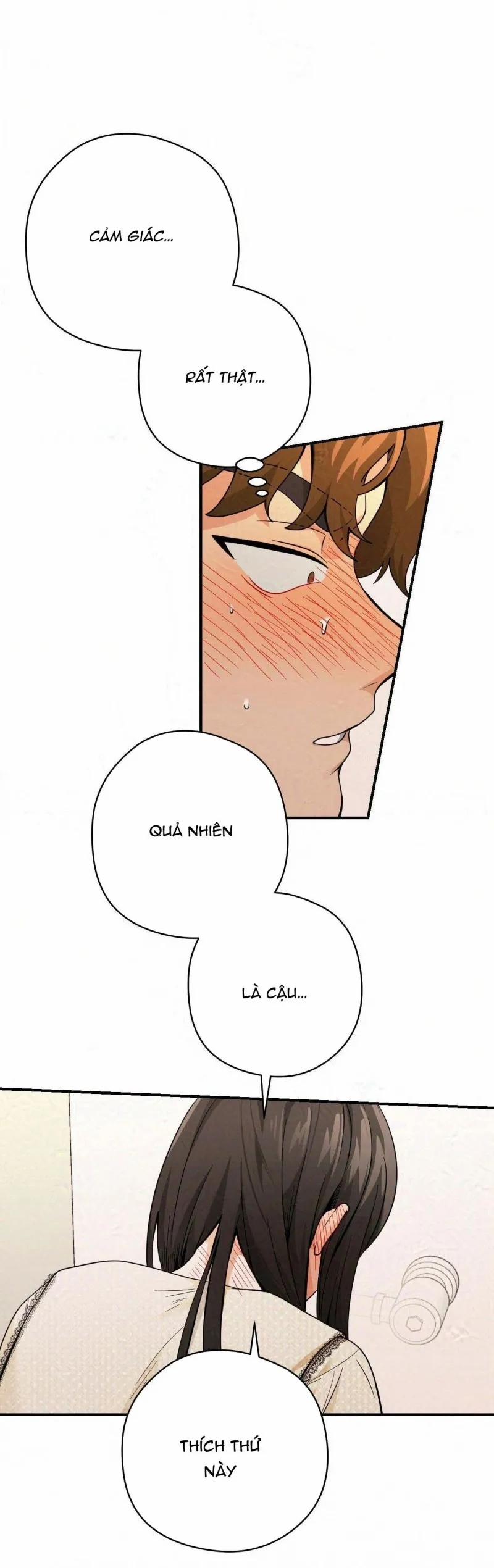 Gangster Và Kẻ Trộm 14 trang 14