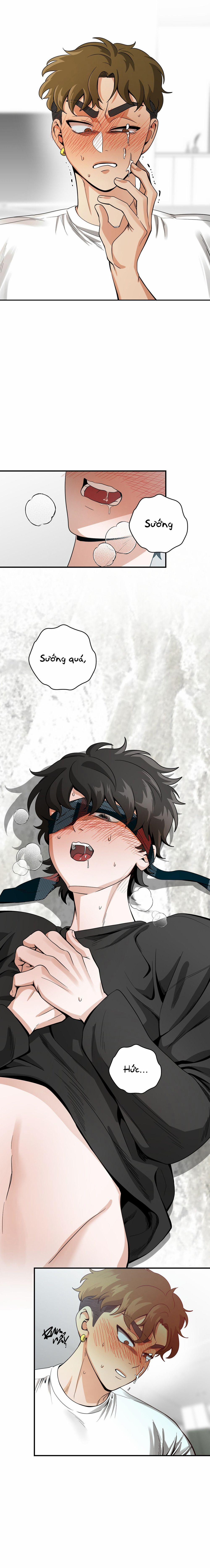 Gangster Và Kẻ Trộm 8 trang 8