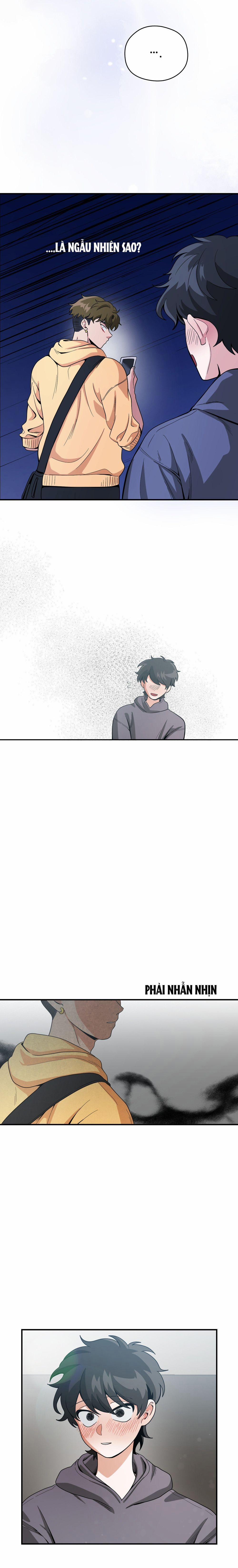 Gangster Và Kẻ Trộm 9 trang 11