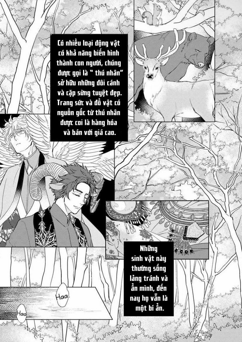 Gặp Gỡ Em, Thú Nhân Màu Chàm Trắng 1 trang 8