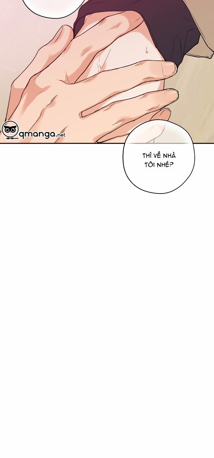 Gâu Gâu! 10 trang 31