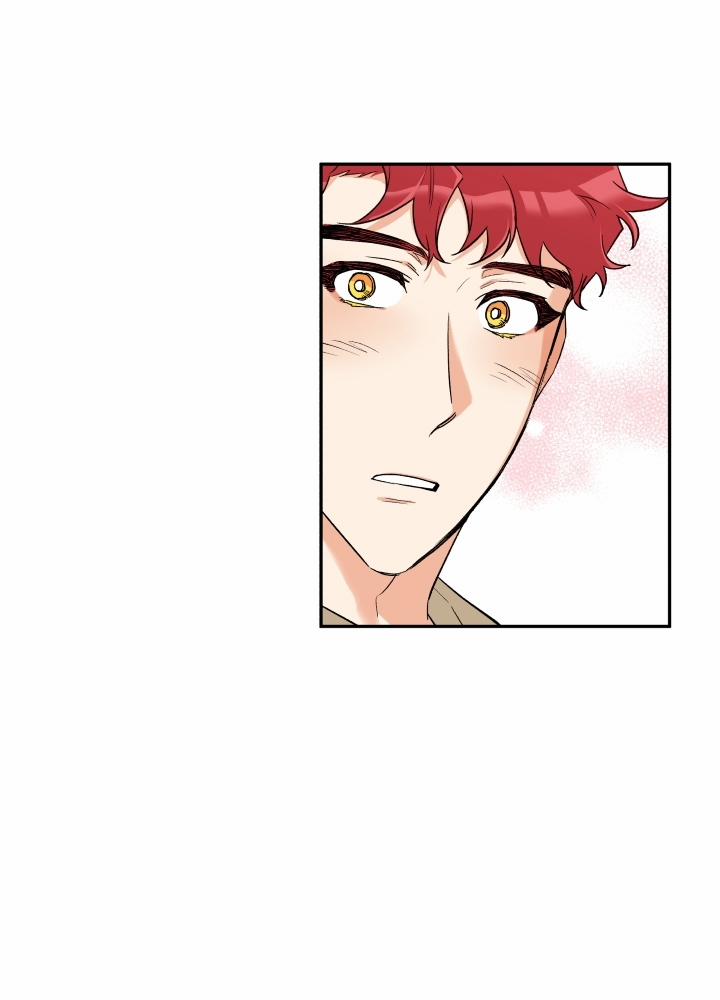 Gâu Gâu! 10 trang 4