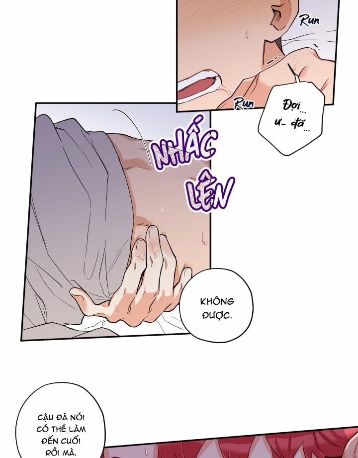 Gâu Gâu! 11 trang 40