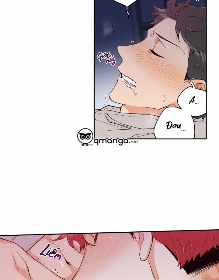 Gâu Gâu! 11 trang 43