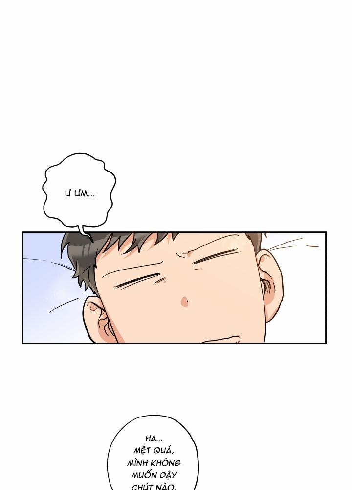 Gâu Gâu! 12 trang 0