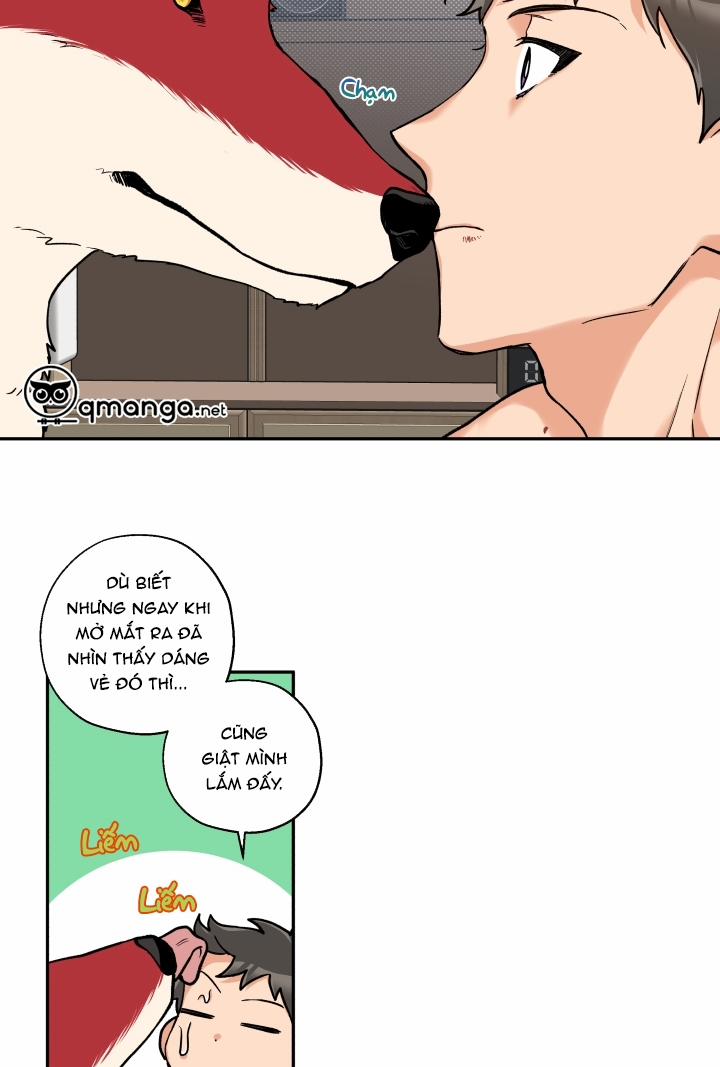 Gâu Gâu! 12 trang 11