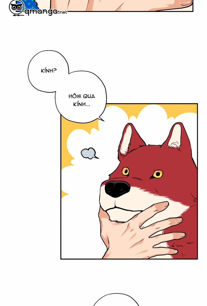 Gâu Gâu! 12 trang 13