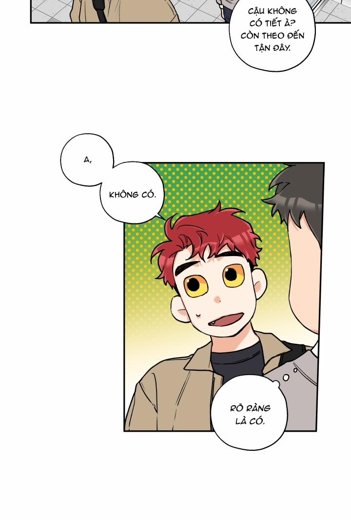 Gâu Gâu! 12 trang 19