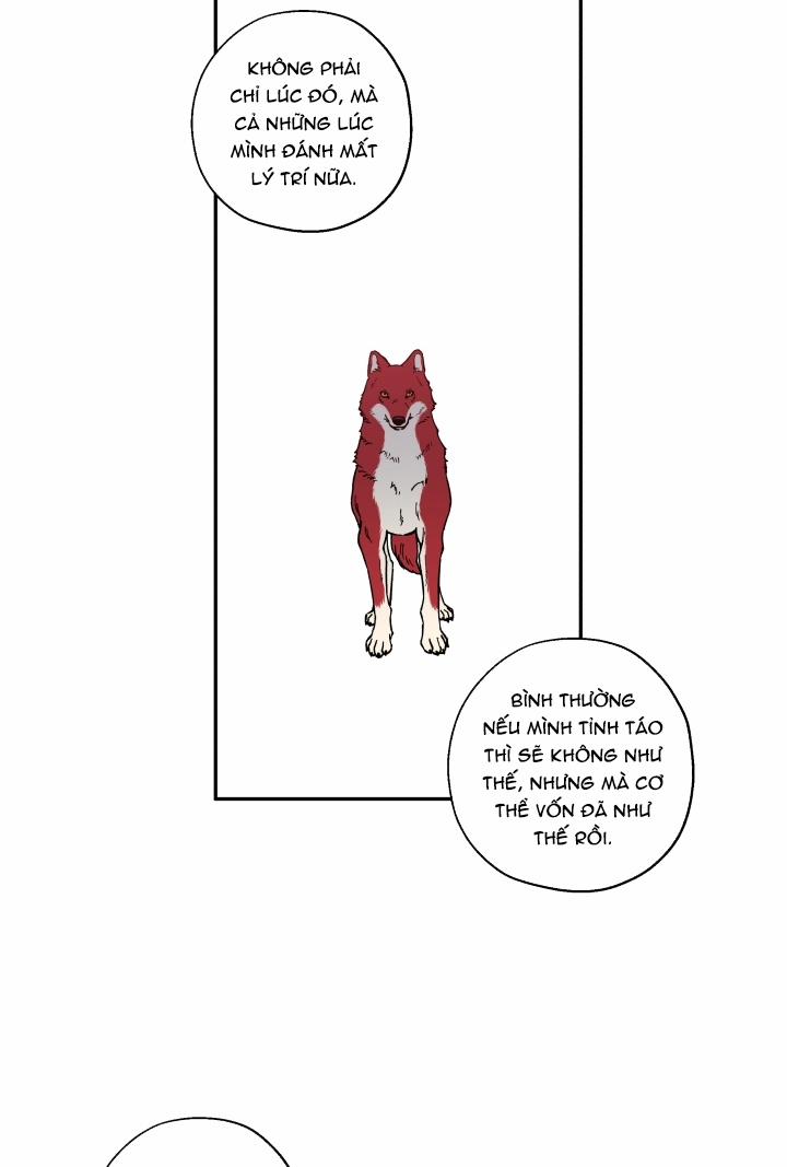 Gâu Gâu! 12 trang 23