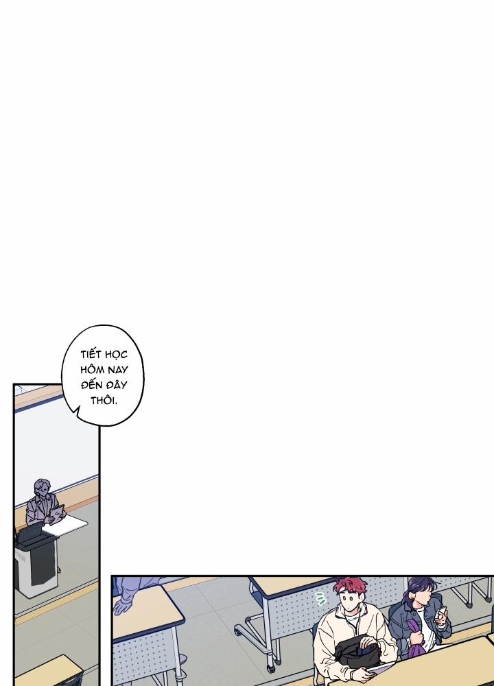 Gâu Gâu! 13 trang 0