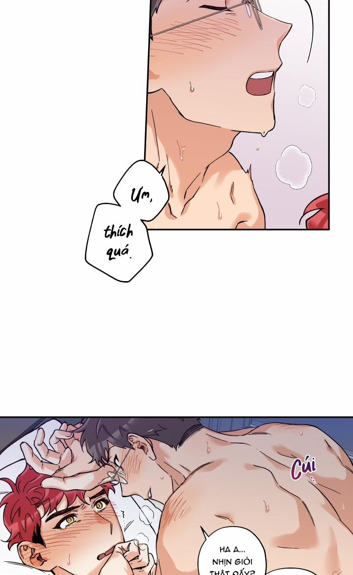 Gâu Gâu! 14 trang 43