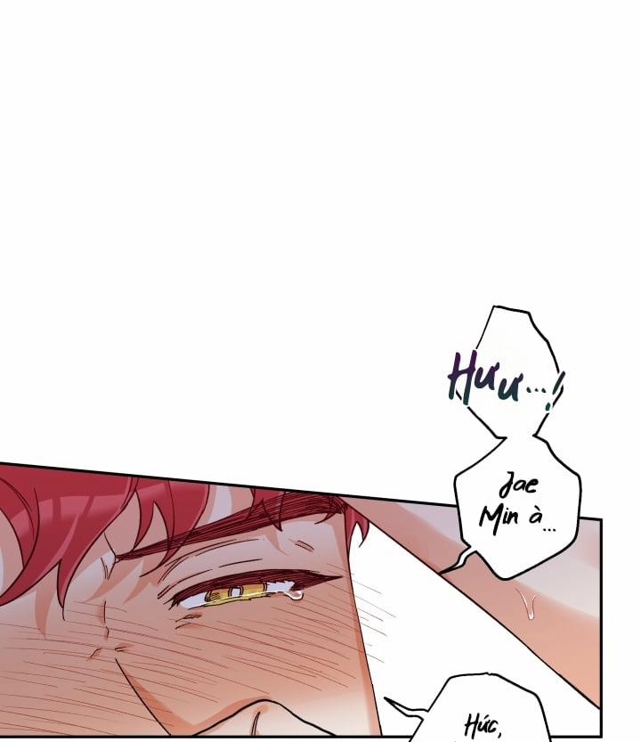 Gâu Gâu! 15 trang 1