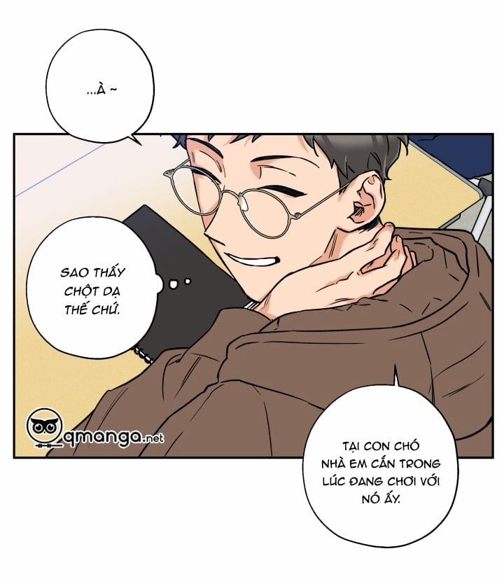 Gâu Gâu! 15 trang 36