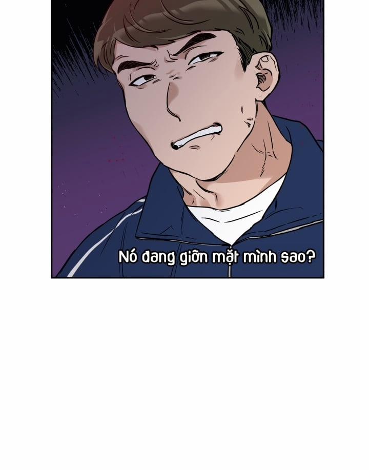 Gâu Gâu! 15 trang 67