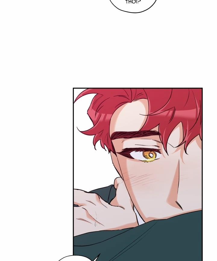 Gâu Gâu! 17 trang 54