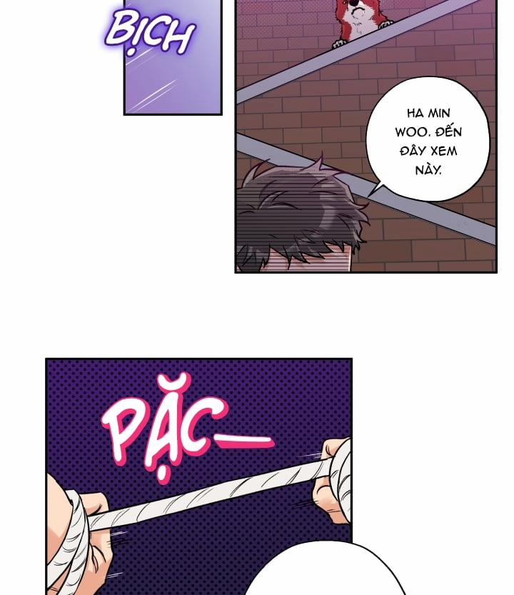 Gâu Gâu! 18 trang 47