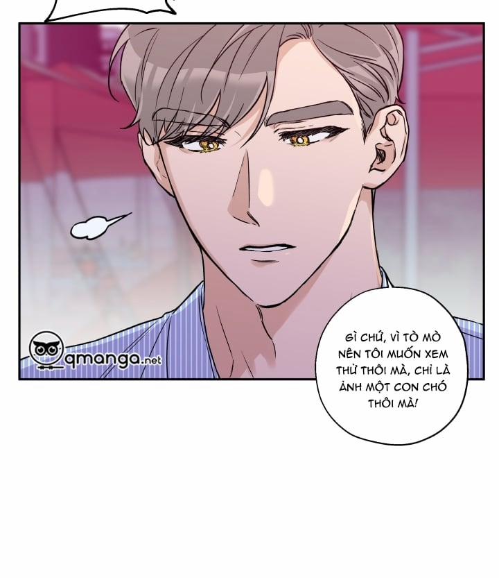 Gâu Gâu! 18 trang 58