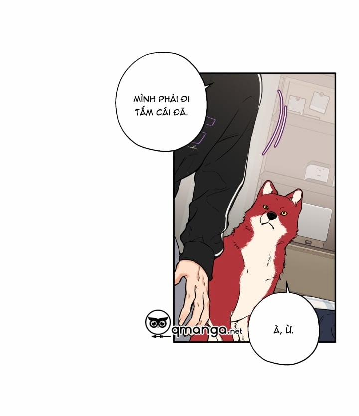 Gâu Gâu! 19 trang 21