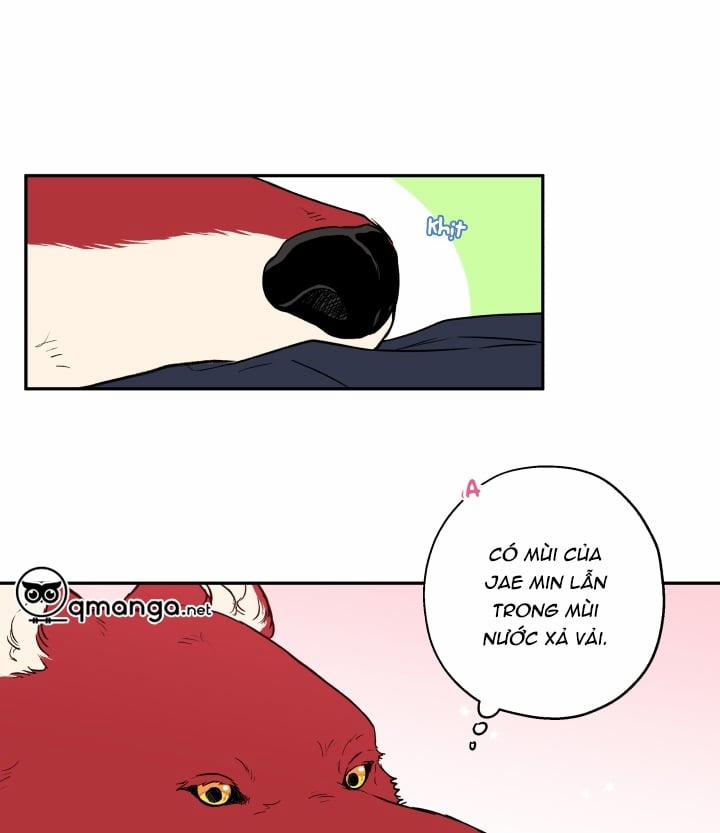Gâu Gâu! 19 trang 25