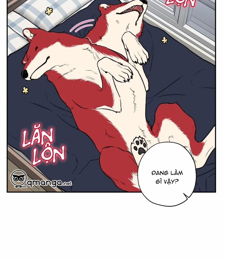 Gâu Gâu! 19 trang 29