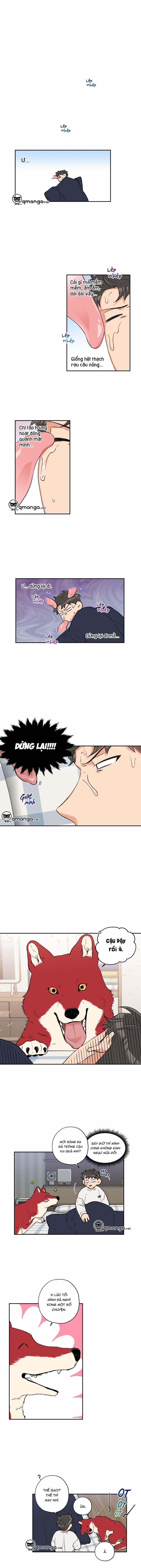 Gâu Gâu! 20 trang 1