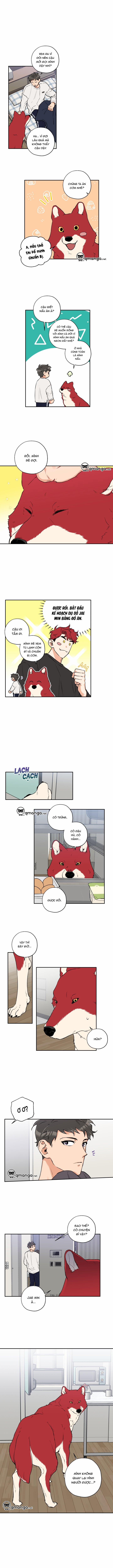 Gâu Gâu! 20 trang 2