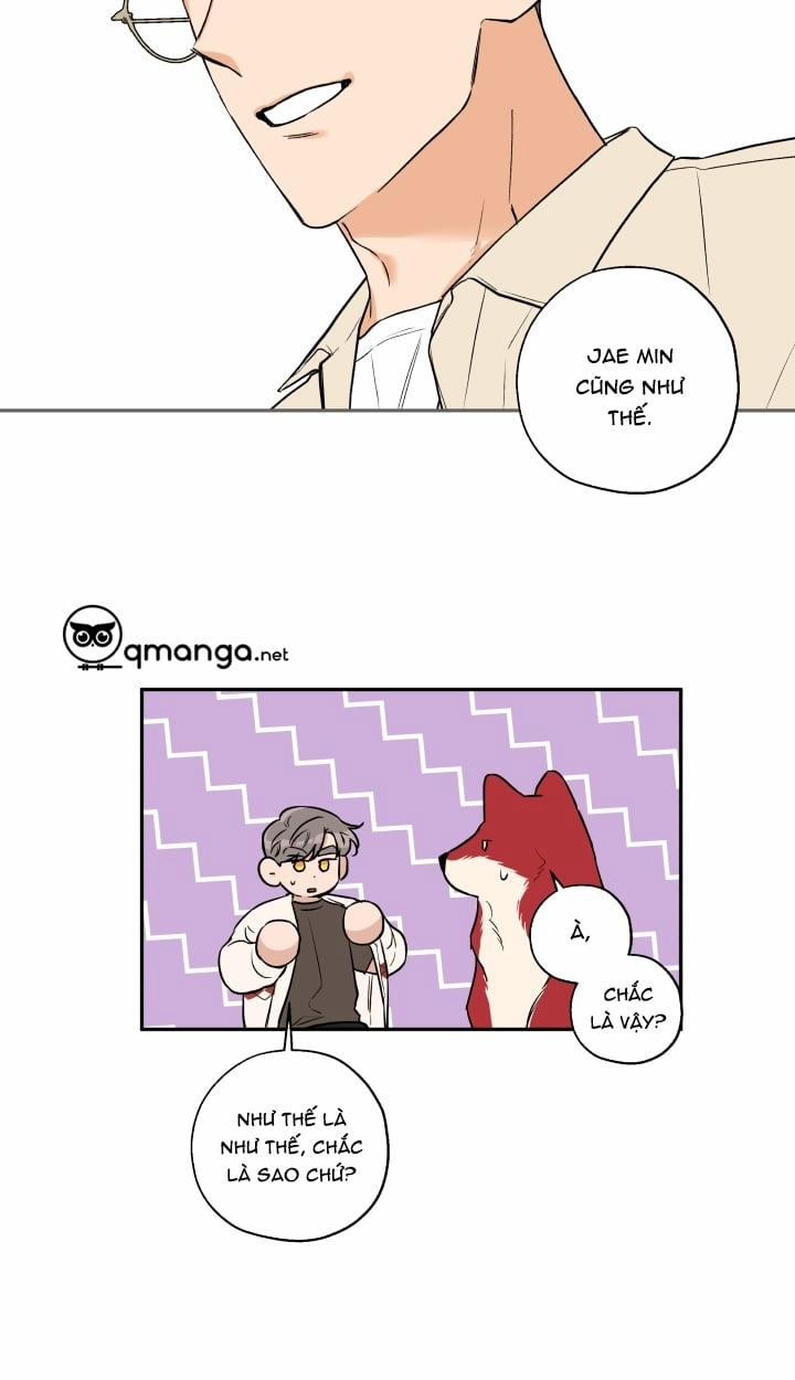 Gâu Gâu! 21 trang 13