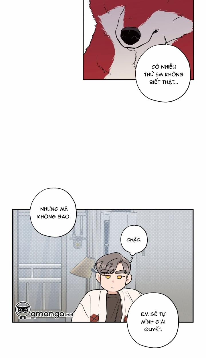 Gâu Gâu! 21 trang 16