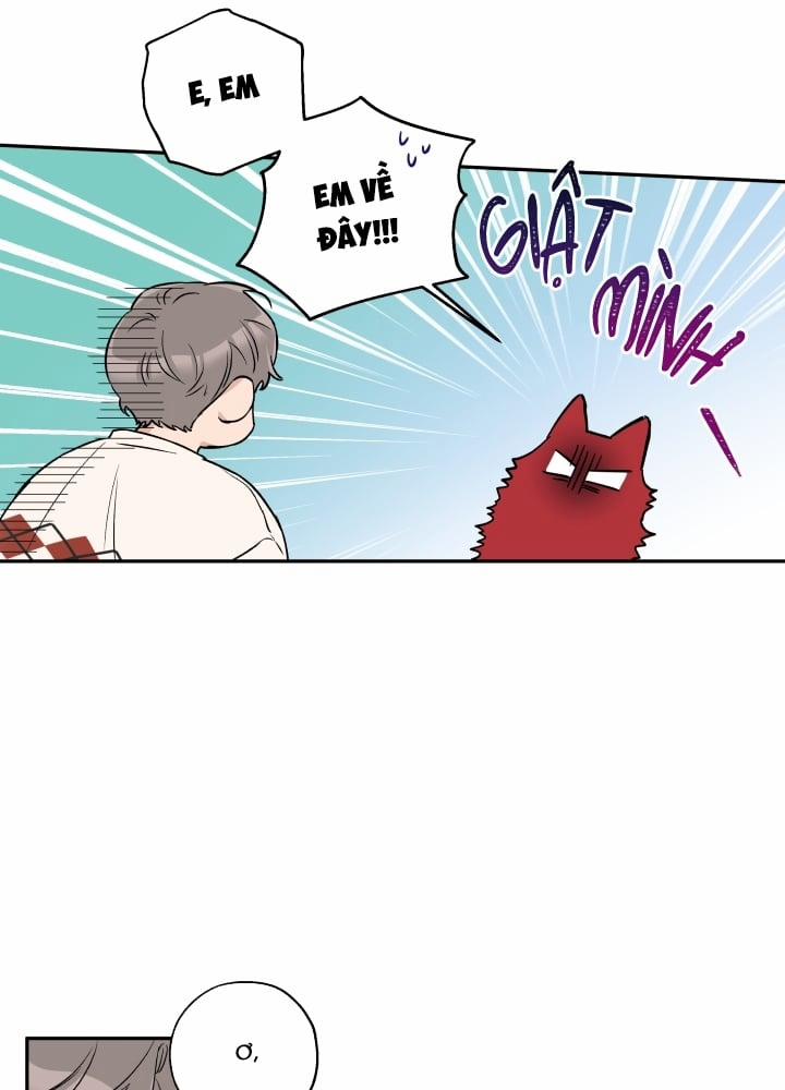 Gâu Gâu! 21 trang 19