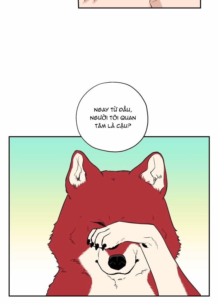 Gâu Gâu! 21 trang 5